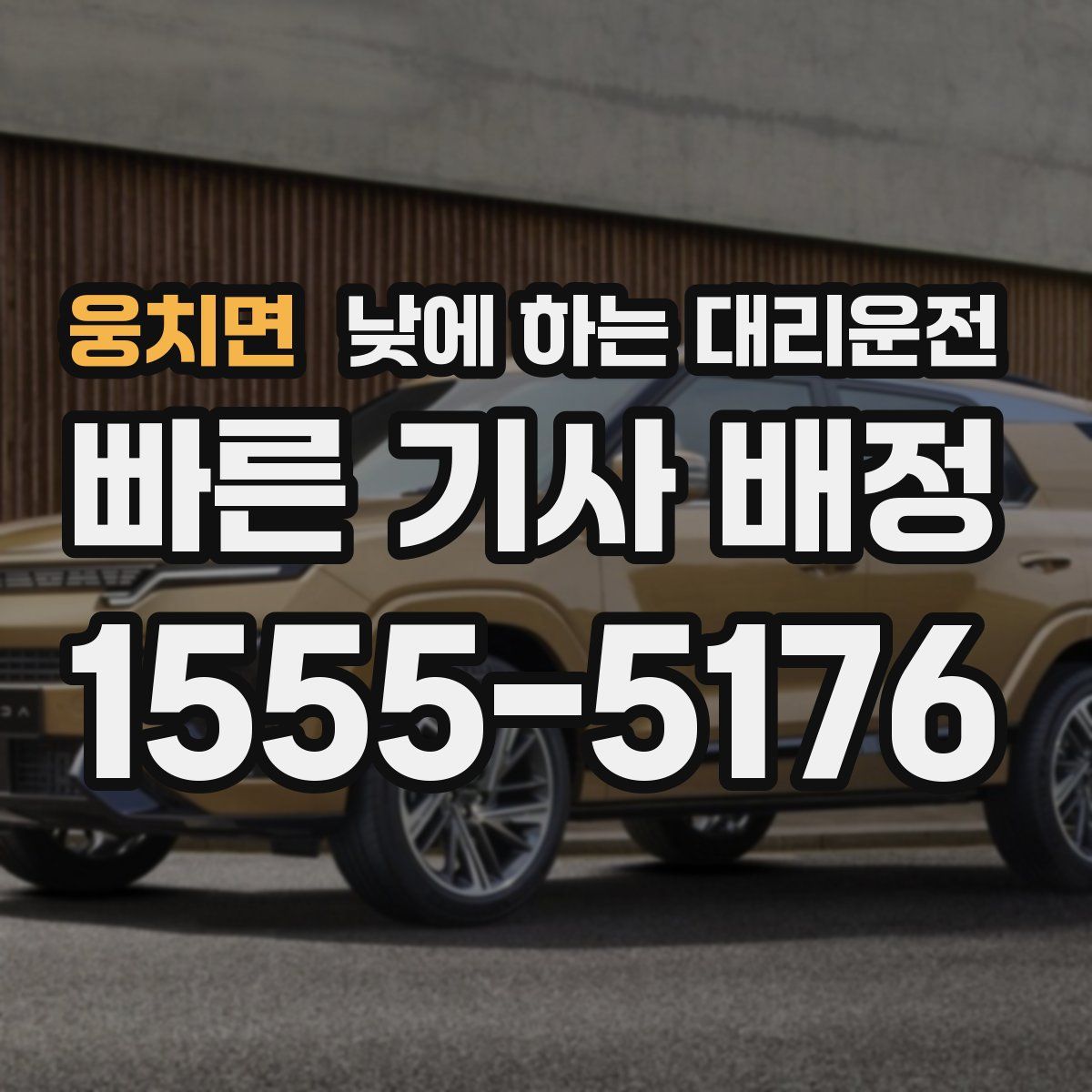 웅치면 낮에 하는 대리운전