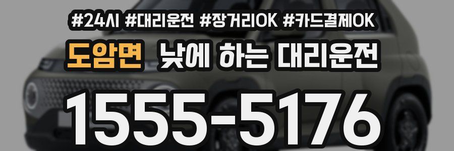 도암면 낮에 하는 대리운전