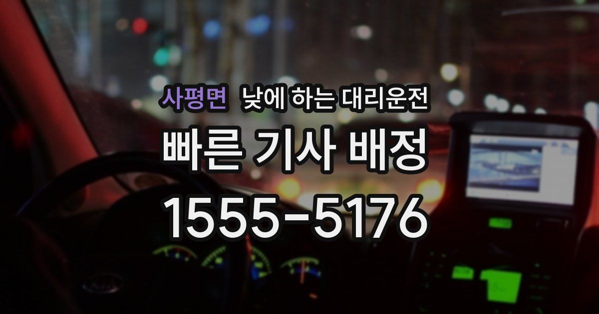 사평면 낮에 하는 대리운전