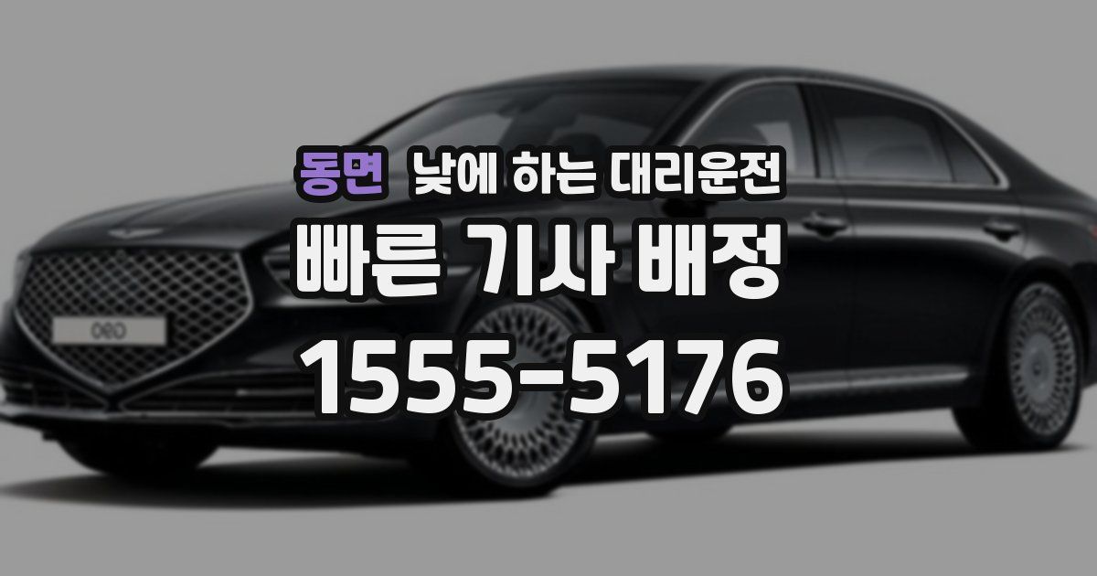 동면 낮에 하는 대리운전