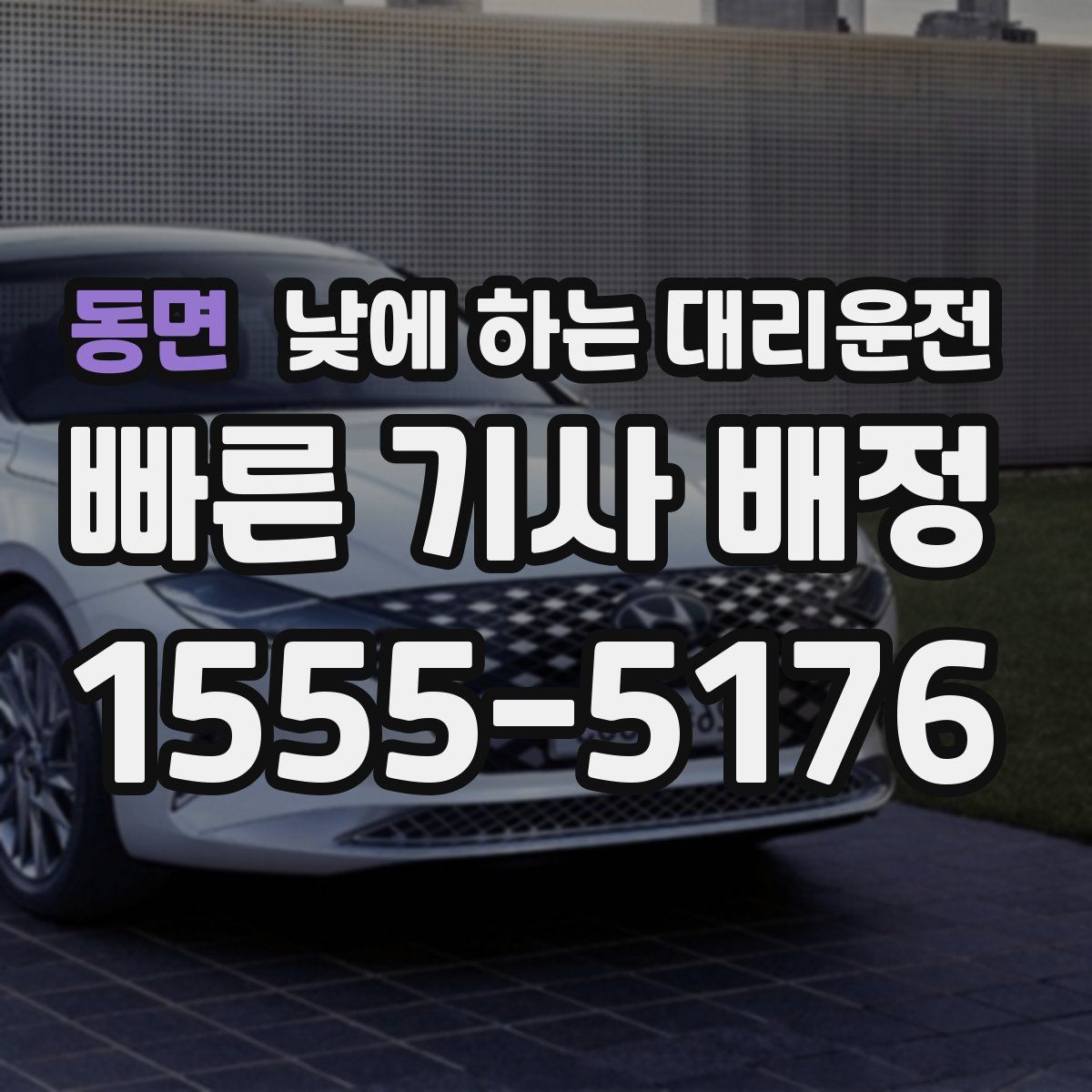 동면 낮에 하는 대리운전