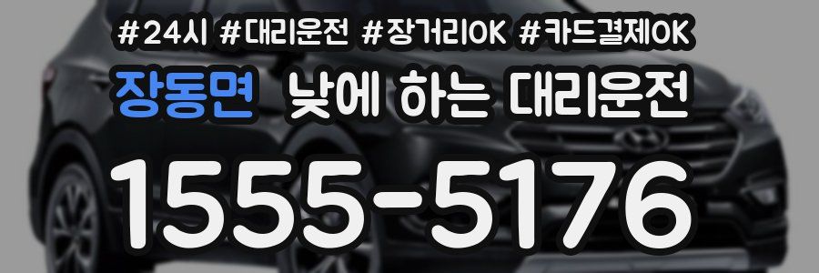 장동면 낮에 하는 대리운전