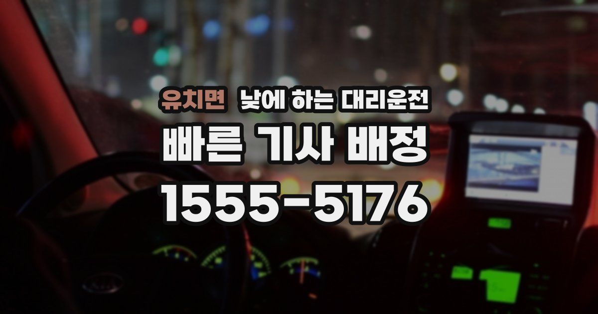 유치면 낮에 하는 대리운전