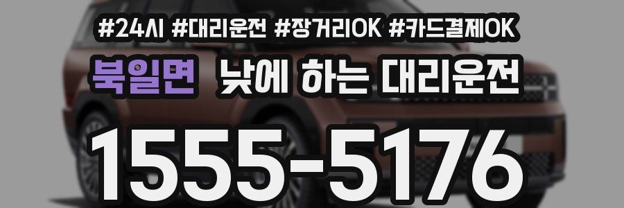 북일면 낮에 하는 대리운전