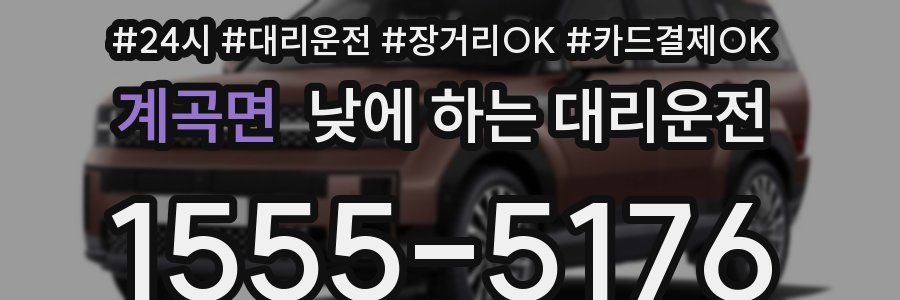 계곡면 낮에 하는 대리운전