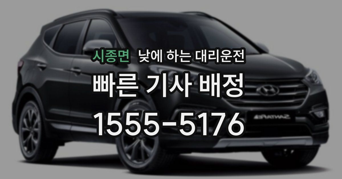 시종면 낮에 하는 대리운전