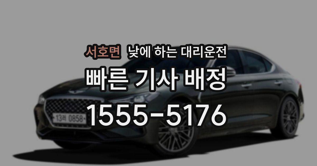 서호면 낮에 하는 대리운전