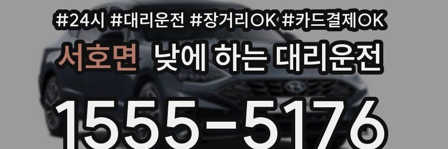 서호면 낮에 하는 대리운전