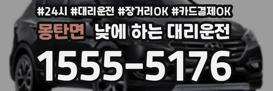 몽탄면 낮에 하는 대리운전