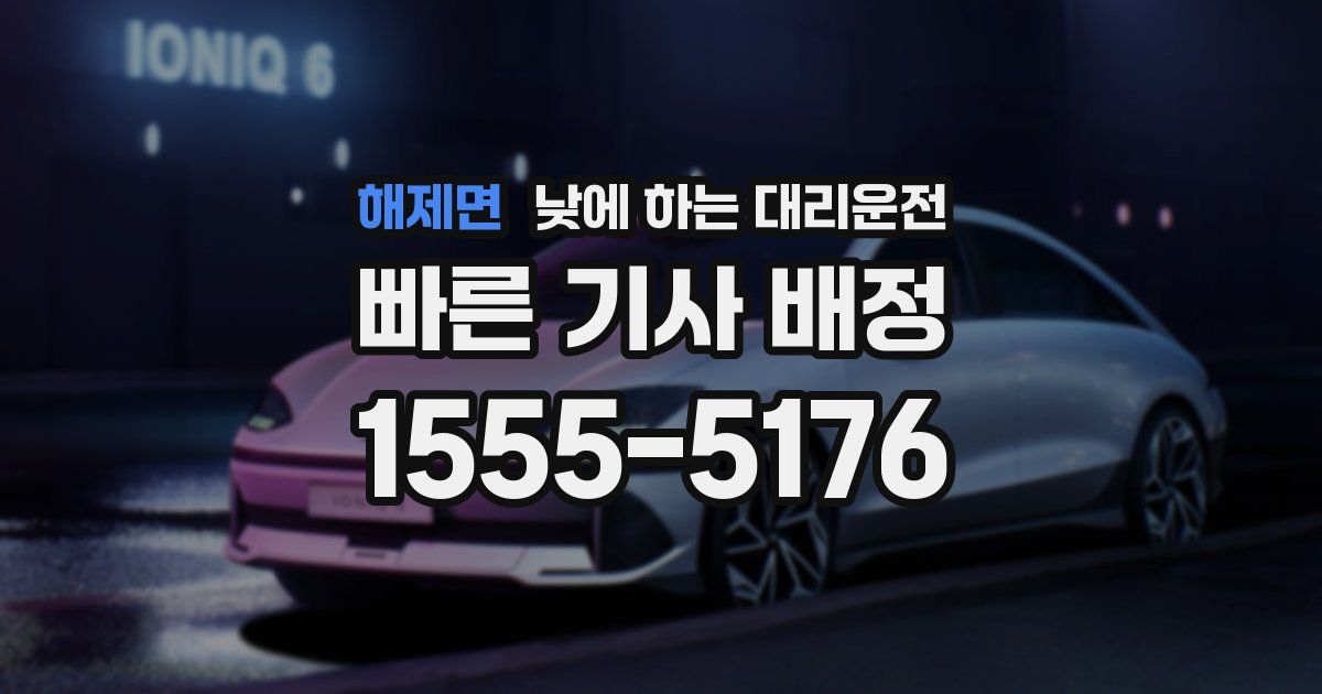 해제면 낮에 하는 대리운전