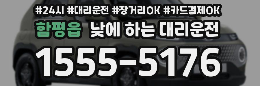 함평읍 낮에 하는 대리운전