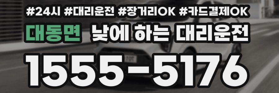 대동면 낮에 하는 대리운전