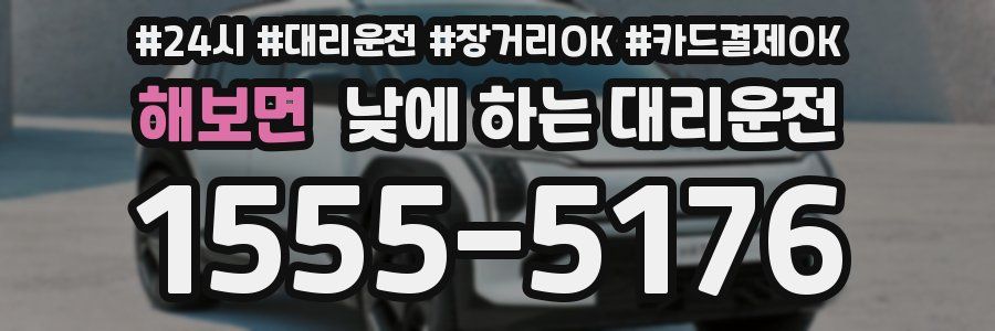 해보면 낮에 하는 대리운전