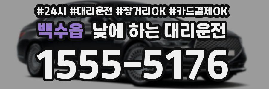 백수읍 낮에 하는 대리운전