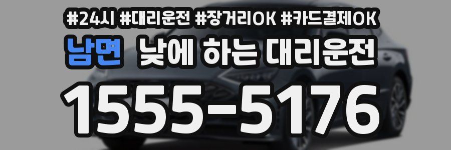 남면 낮에 하는 대리운전