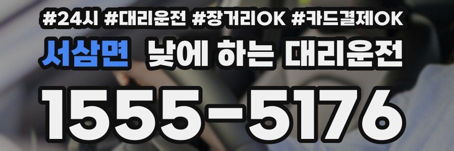 서삼면 낮에 하는 대리운전