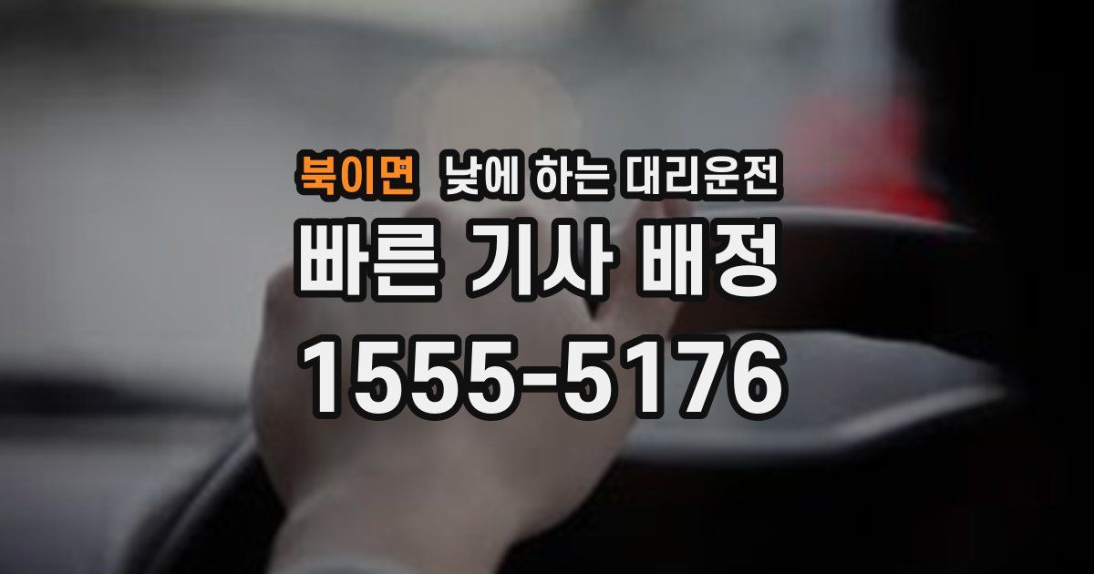 북이면 낮에 하는 대리운전