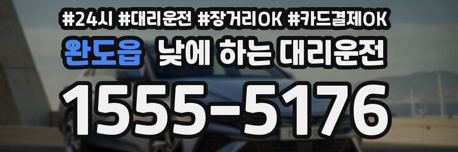 완도읍 낮에 하는 대리운전