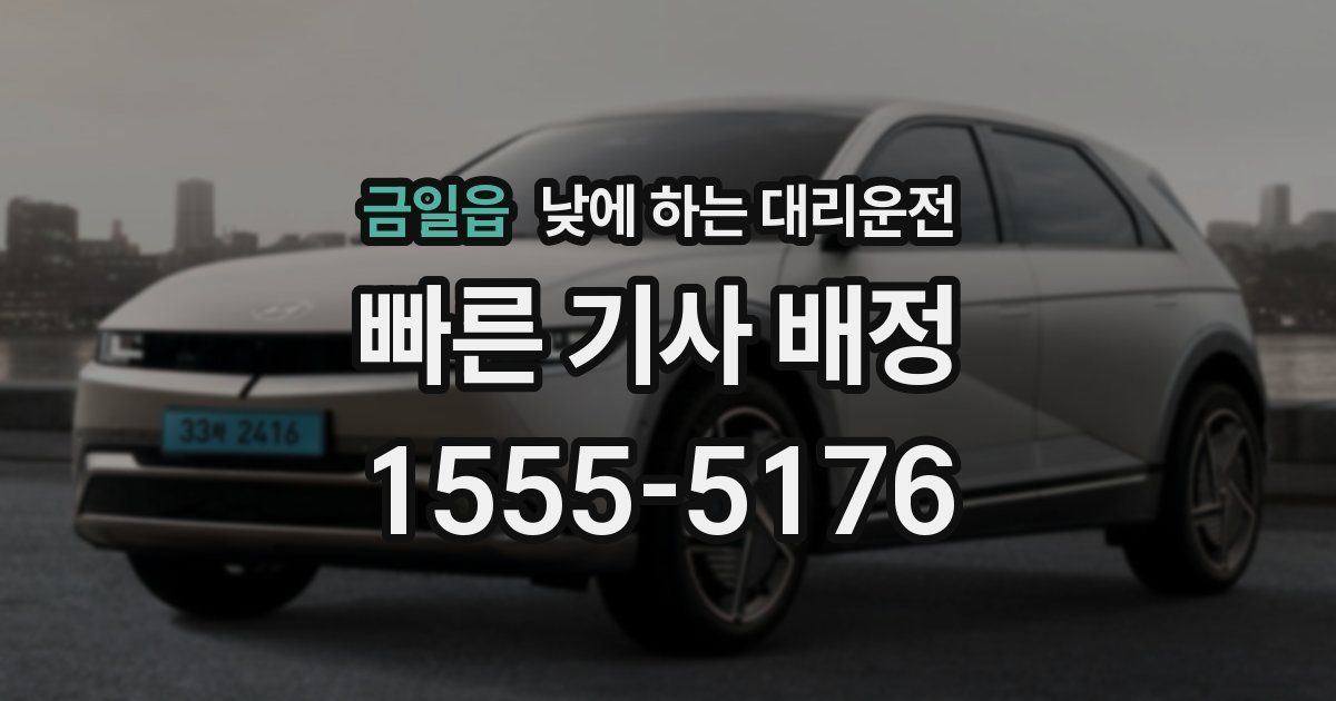 금일읍 낮에 하는 대리운전
