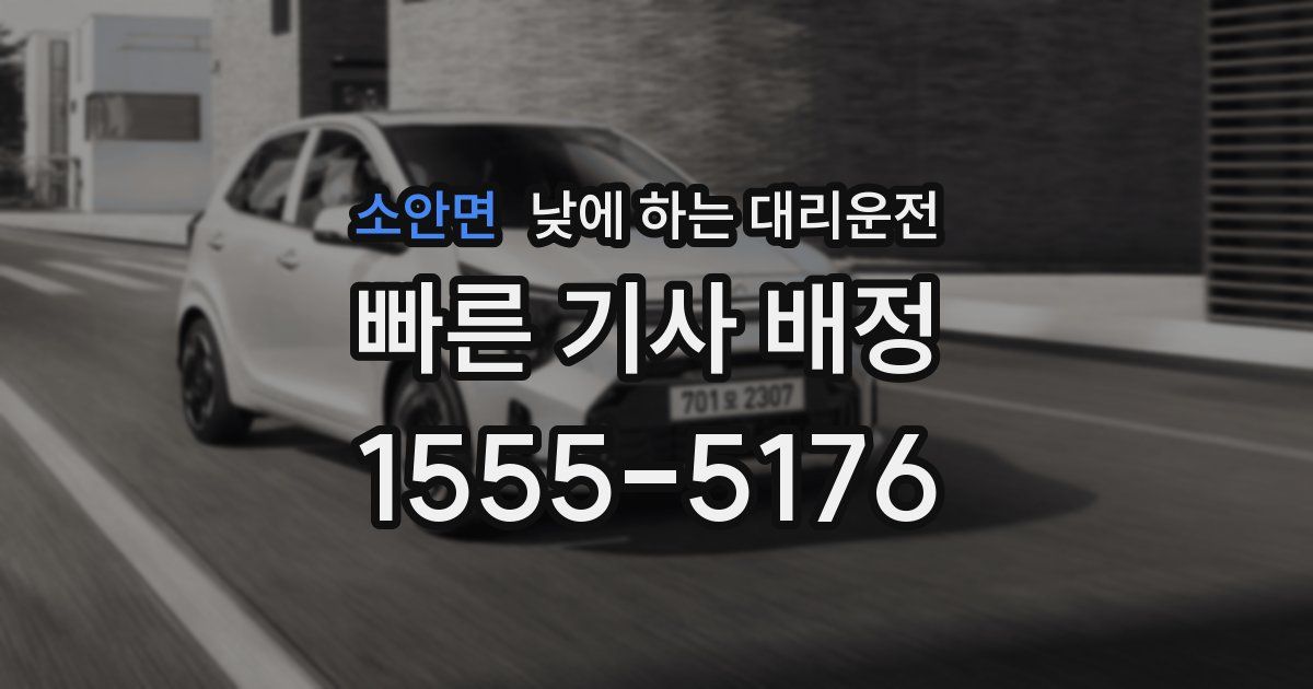 소안면 낮에 하는 대리운전