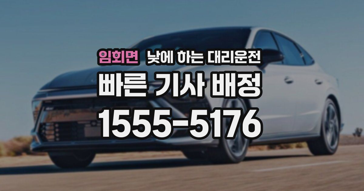 임회면 낮에 하는 대리운전