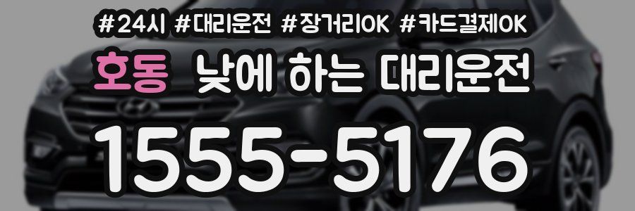 호동 낮에 하는 대리운전