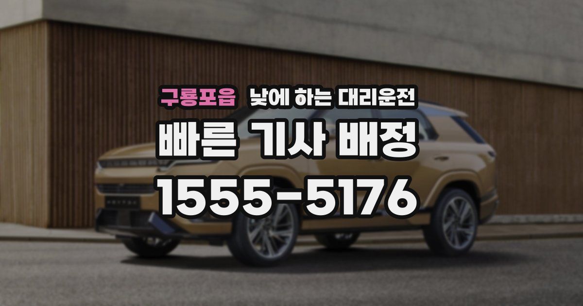 구룡포읍 낮에 하는 대리운전