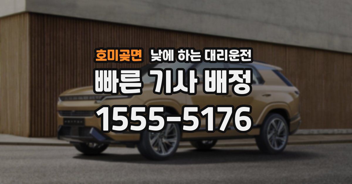 호미곶면 낮에 하는 대리운전