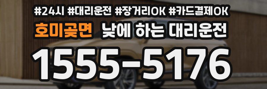 호미곶면 낮에 하는 대리운전