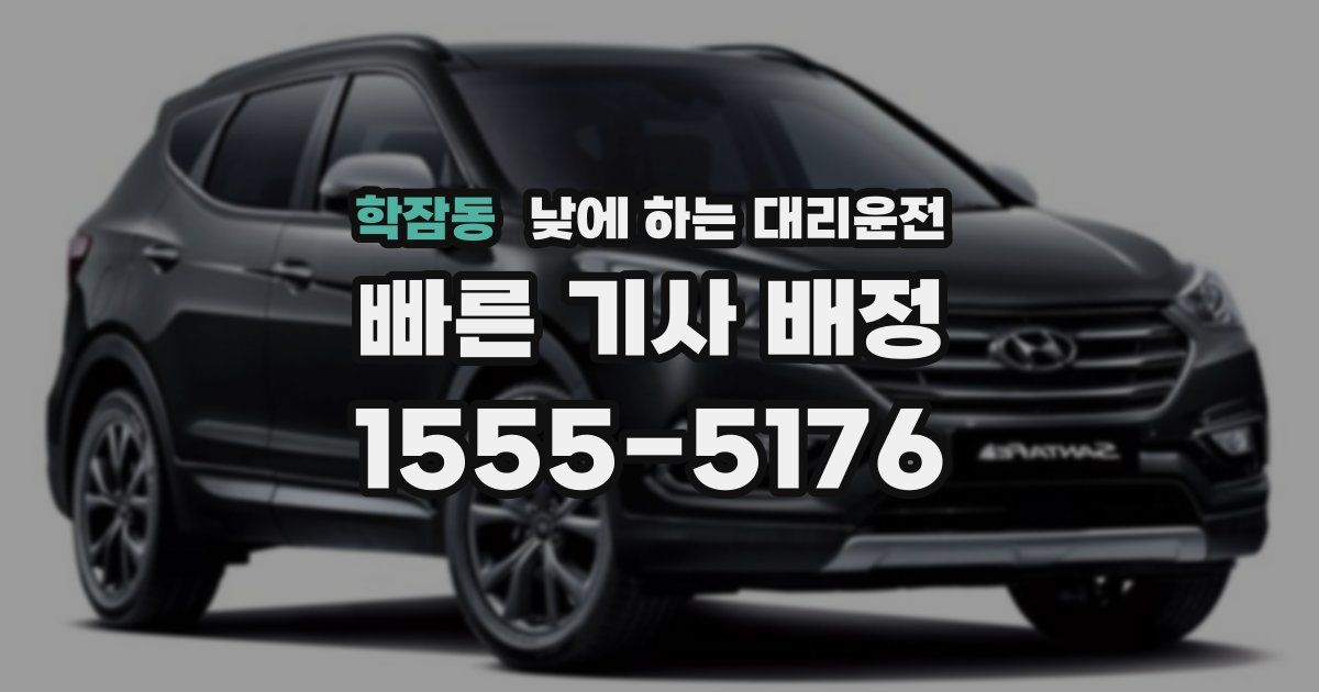 학잠동 낮에 하는 대리운전