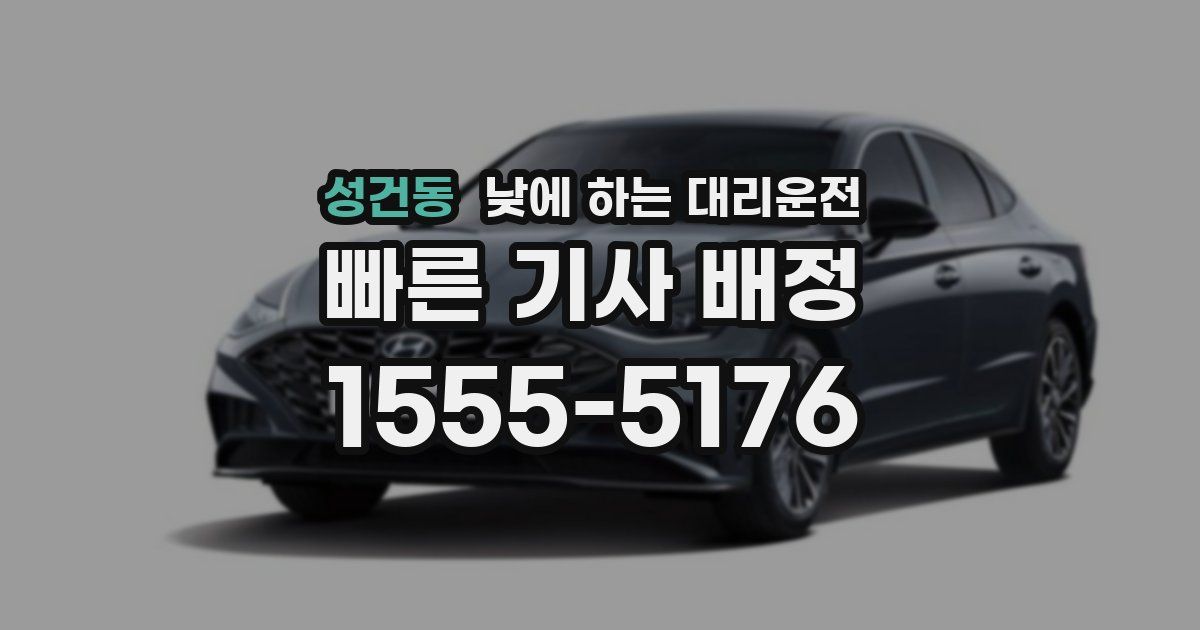 성건동 낮에 하는 대리운전