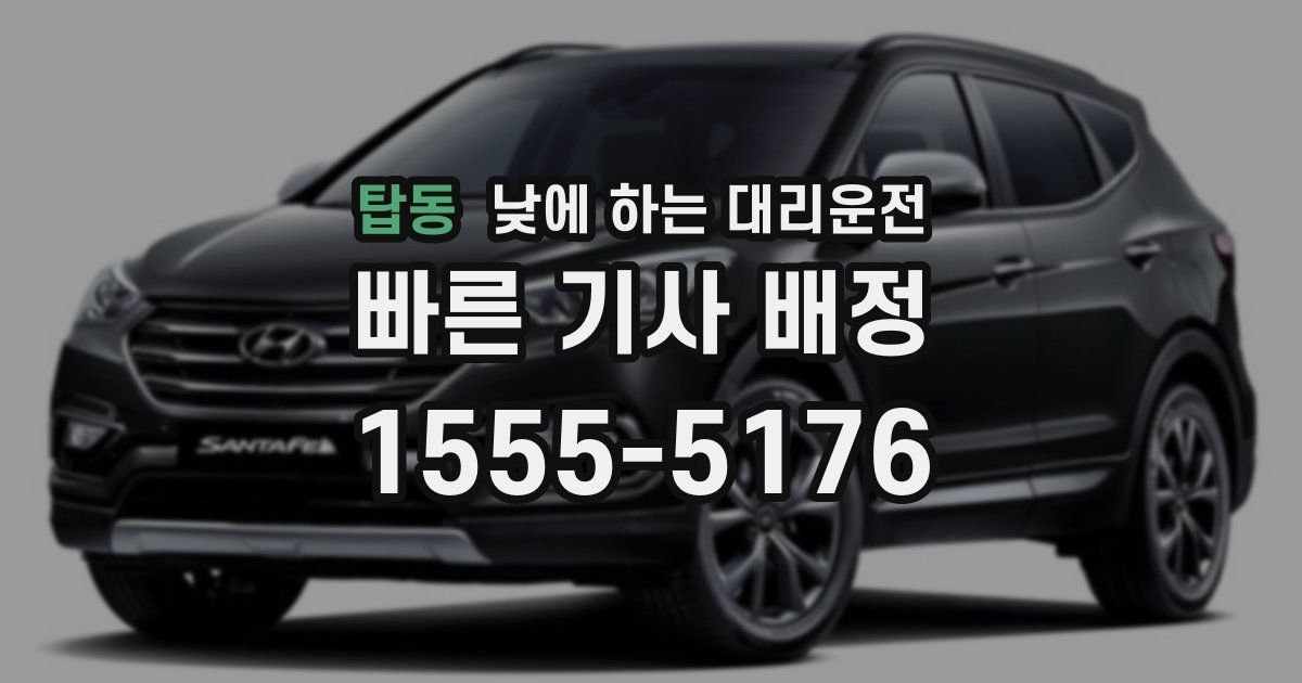 탑동 낮에 하는 대리운전