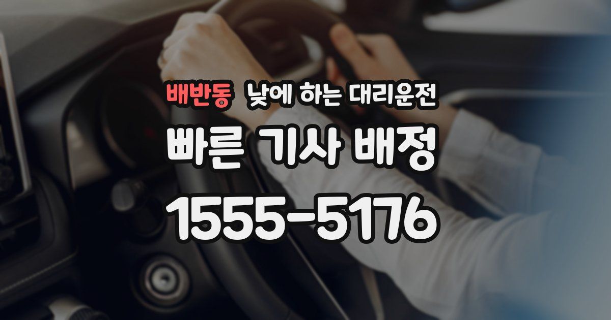 배반동 낮에 하는 대리운전