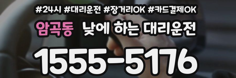 암곡동 낮에 하는 대리운전