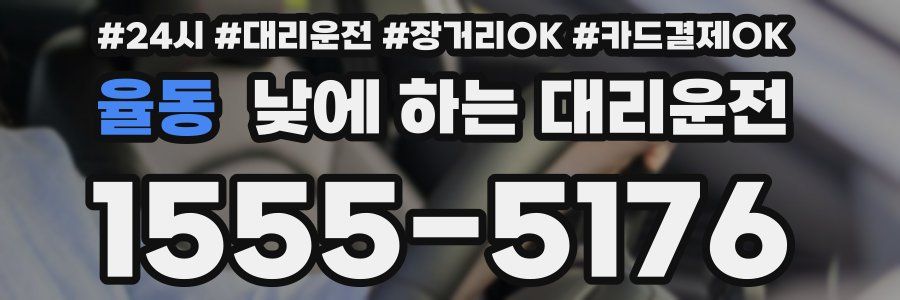 율동 낮에 하는 대리운전