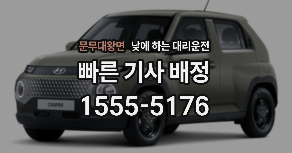 문무대왕면 낮에 하는 대리운전