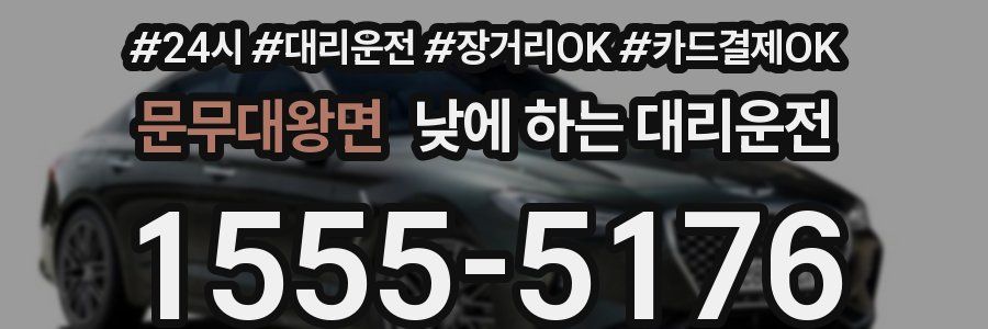 문무대왕면 낮에 하는 대리운전