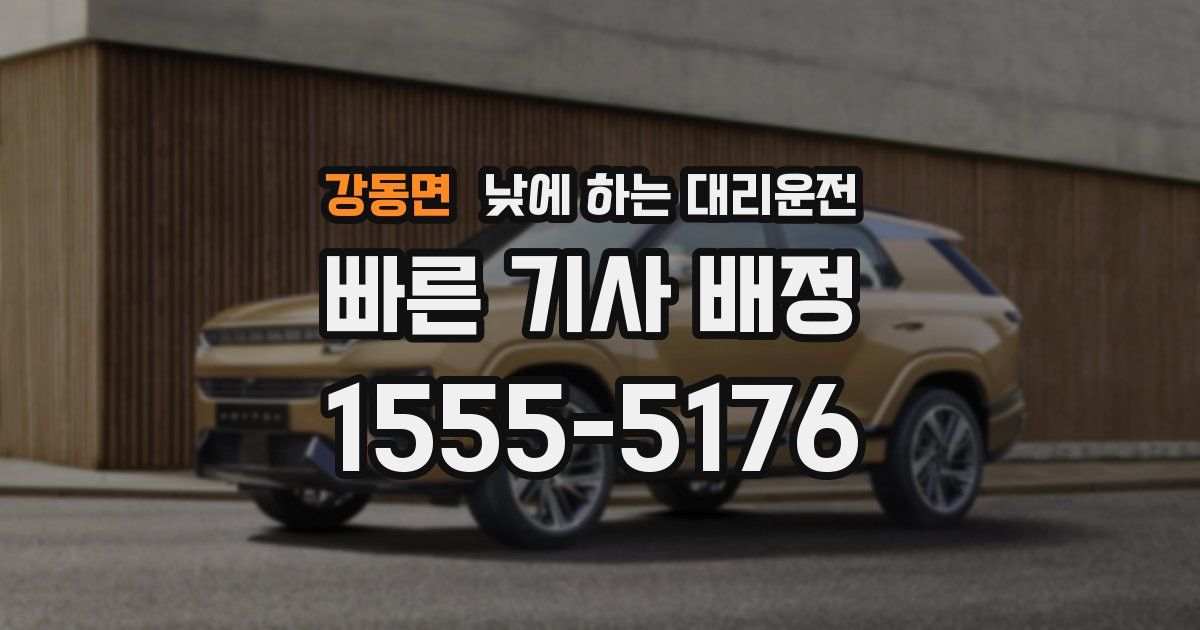 강동면 낮에 하는 대리운전