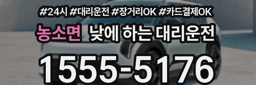 농소면 낮에 하는 대리운전