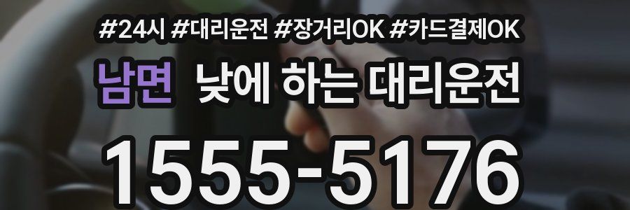 남면 낮에 하는 대리운전