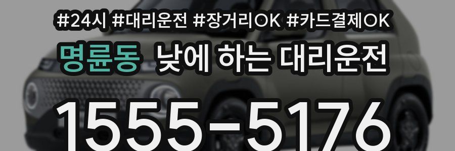 명륜동 낮에 하는 대리운전