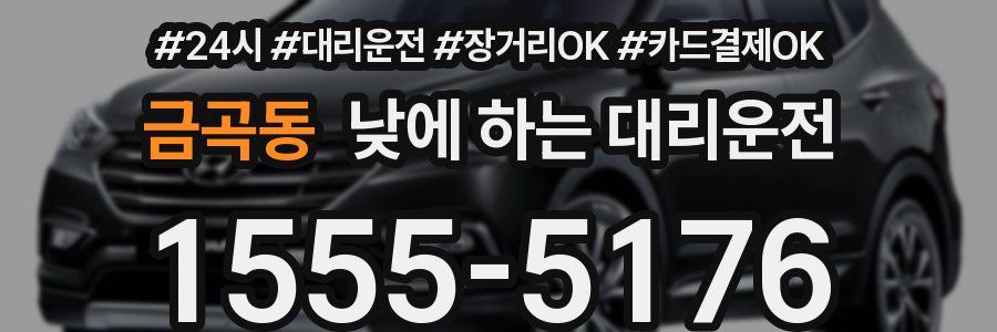 금곡동 낮에 하는 대리운전
