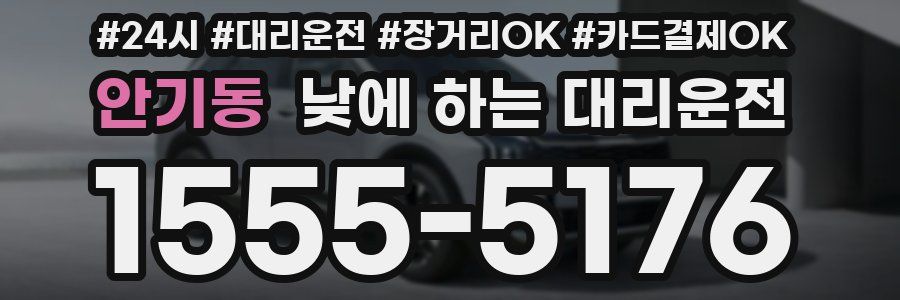 안기동 낮에 하는 대리운전