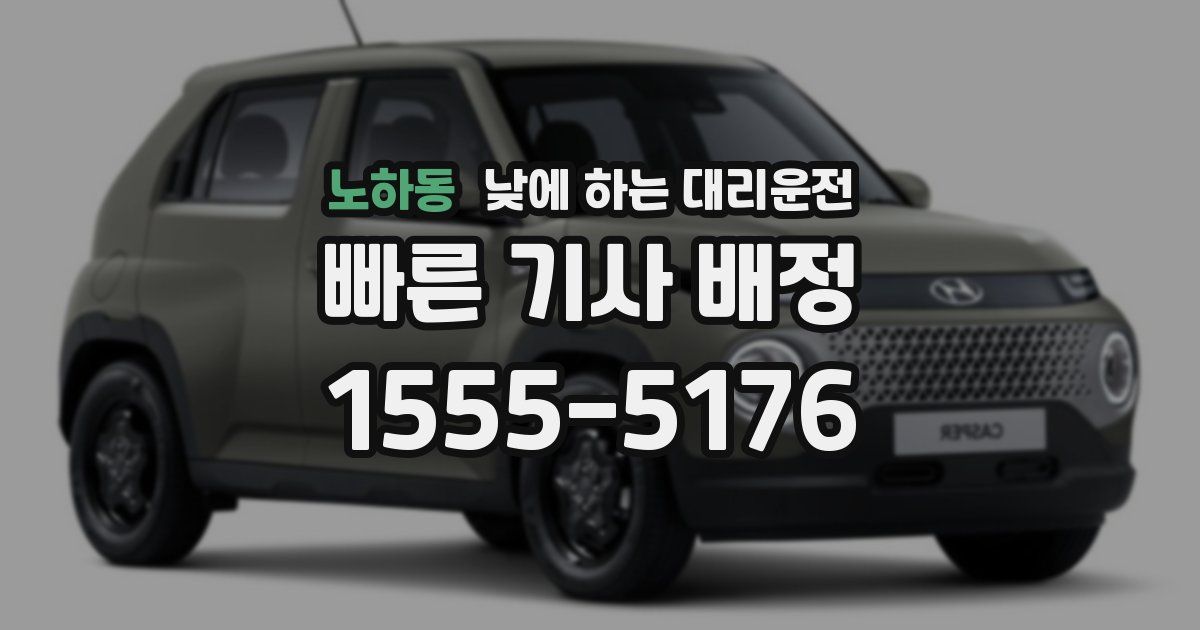 노하동 낮에 하는 대리운전