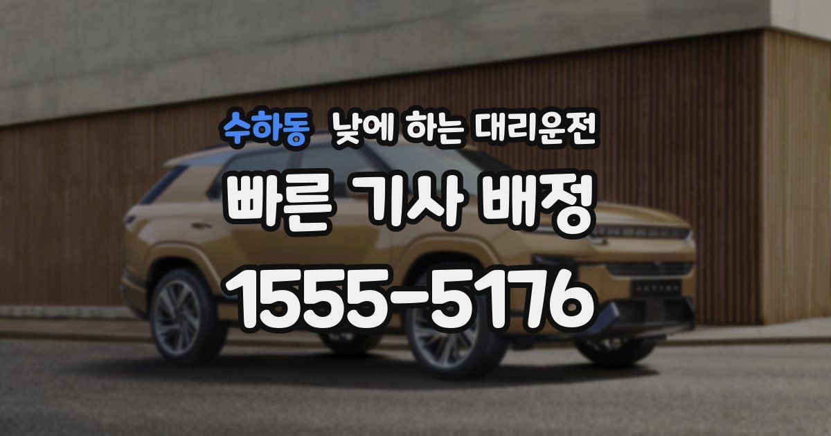 수하동 낮에 하는 대리운전