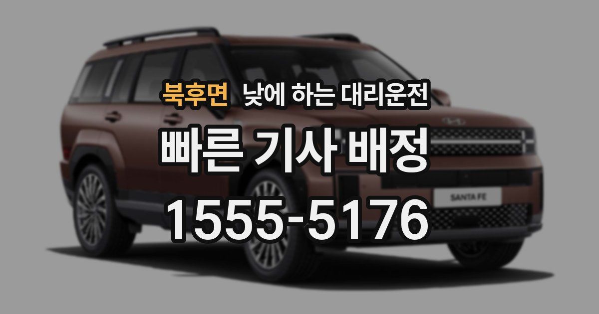 북후면 낮에 하는 대리운전