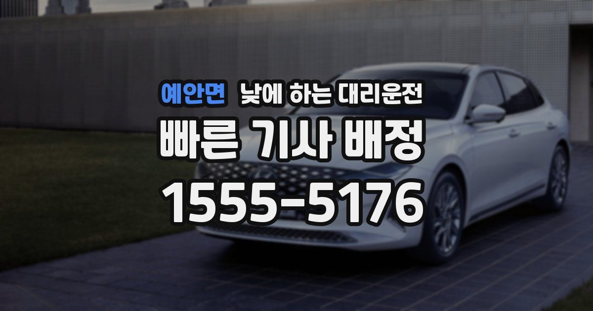 예안면 낮에 하는 대리운전