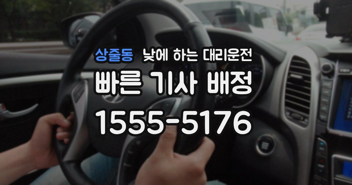 상줄동 낮에 하는 대리운전