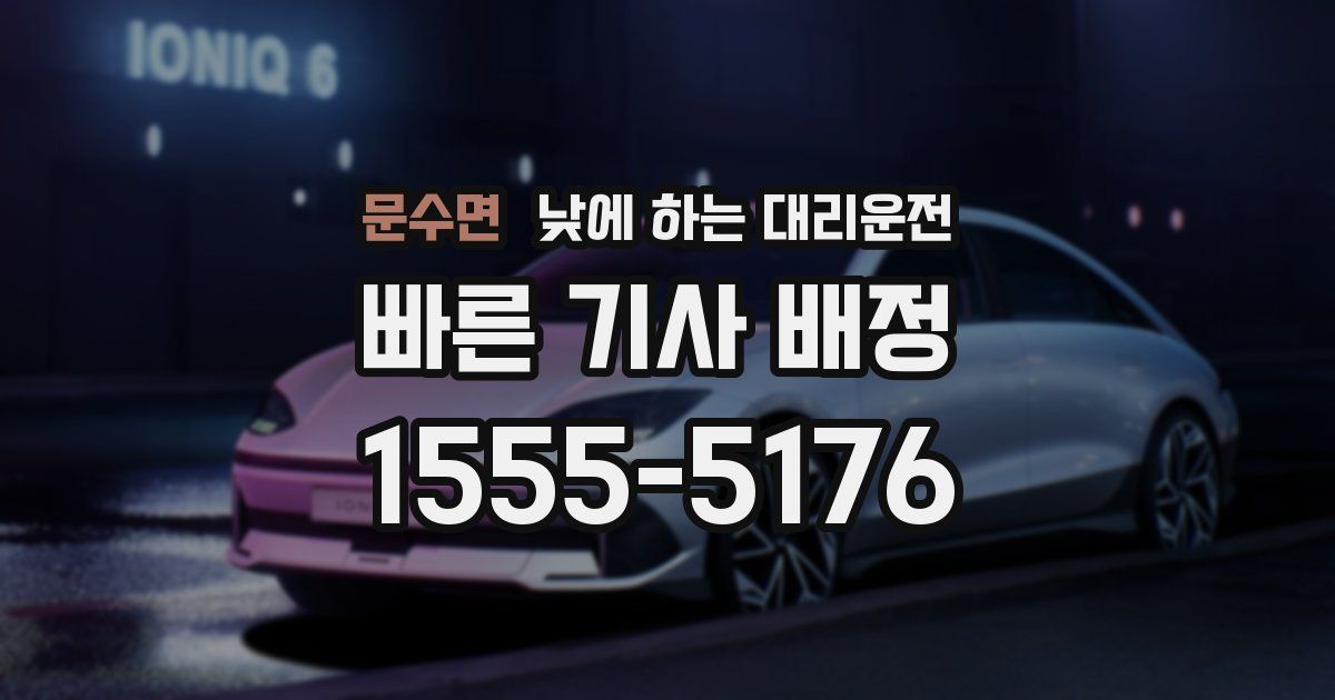 문수면 낮에 하는 대리운전