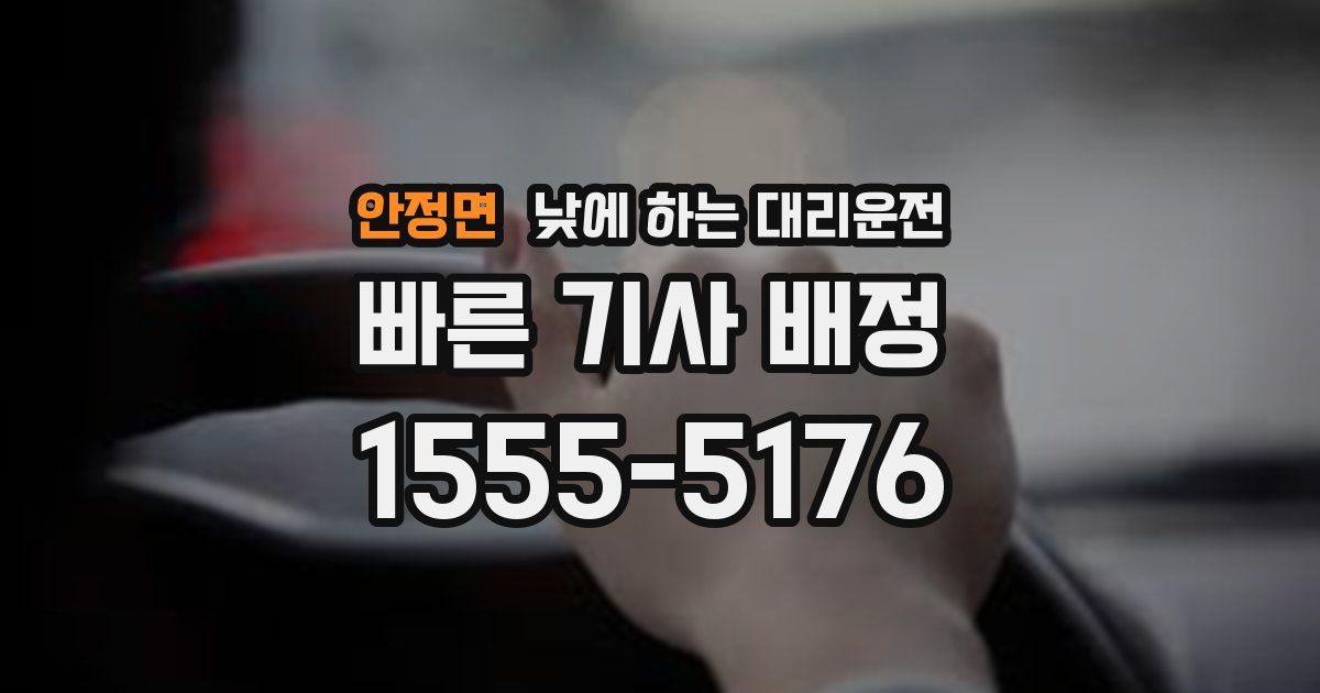 안정면 낮에 하는 대리운전